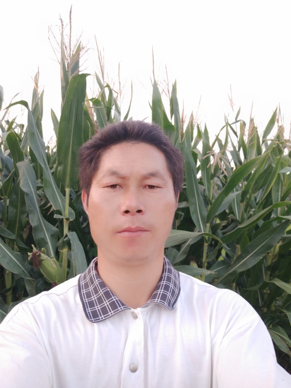 四海游龙的第二张照片--漳平相亲网