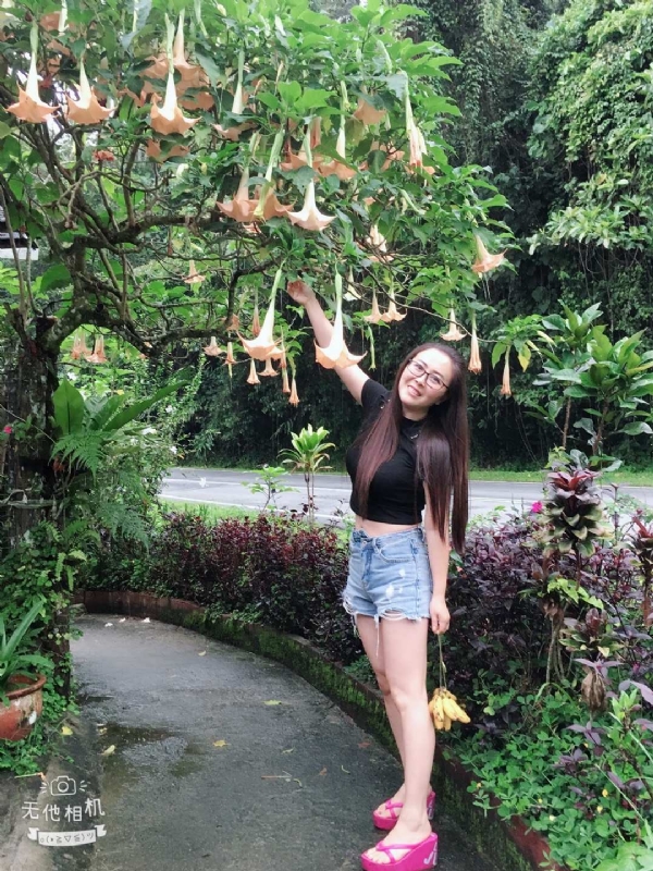 离异单身无子的第二张照片--漳平相亲网