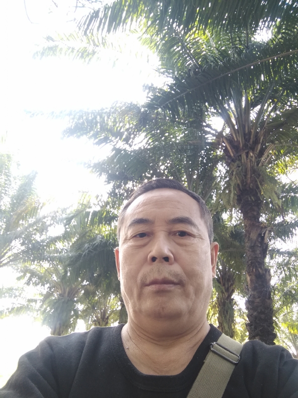 重振雄风的第二张照片--漳平相亲网