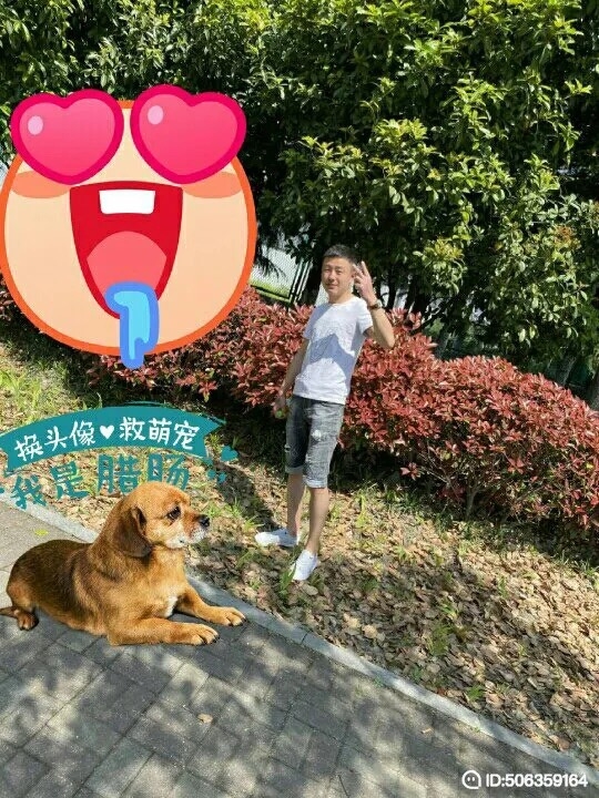 我若不坚强谁替我勇敢的第五张照片--漳平相亲网