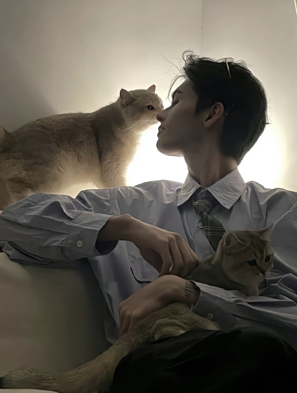 怪猫的第一张照片--漳平相亲网