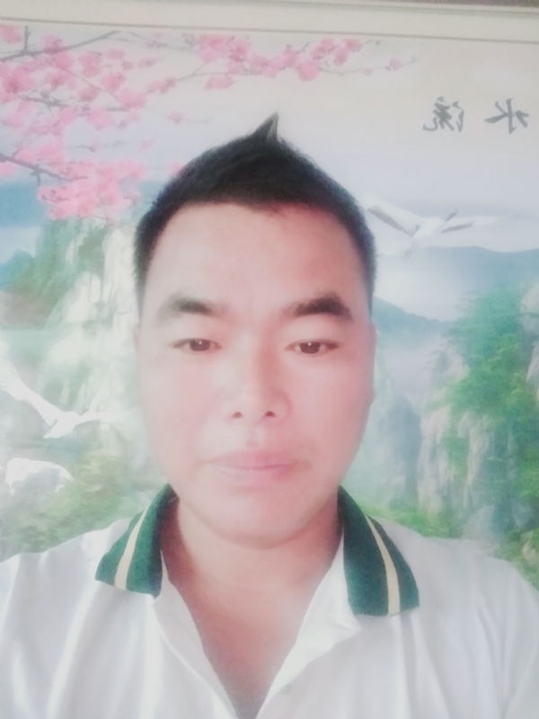 阳光男孩的第二张照片--漳平相亲网