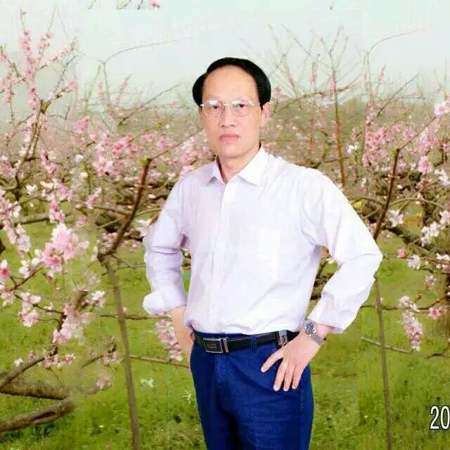 枫叶的第一张照片--漳平相亲网
